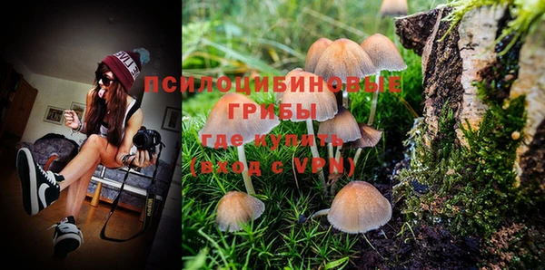 ГАЛЛЮЦИНОГЕННЫЕ ГРИБЫ Абинск