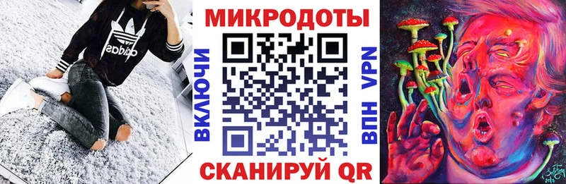 Псилоцибиновые грибы Psilocybe  Тында 
